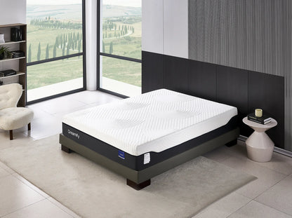 12-Inch Gel Memory Foam